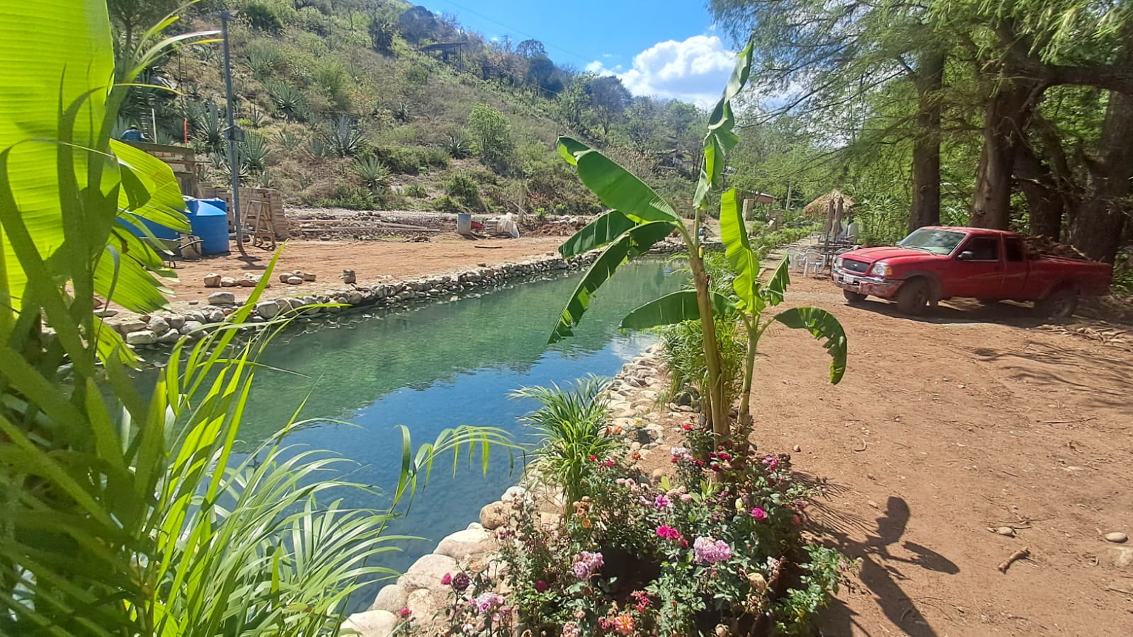 Alberca de piedra con agua cristalina rodeada de palmeras y montañas en Oasis Centenario, El Vado, Oaxaca